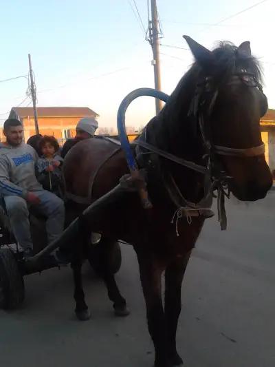 Ремонт и сервиз на камиони в Айтос-автосервиз ДИБО ЕООД