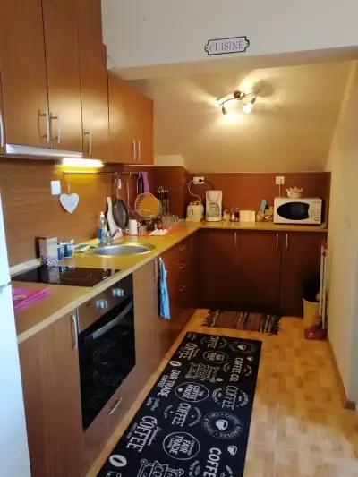 Apartament Viki Pamporovo