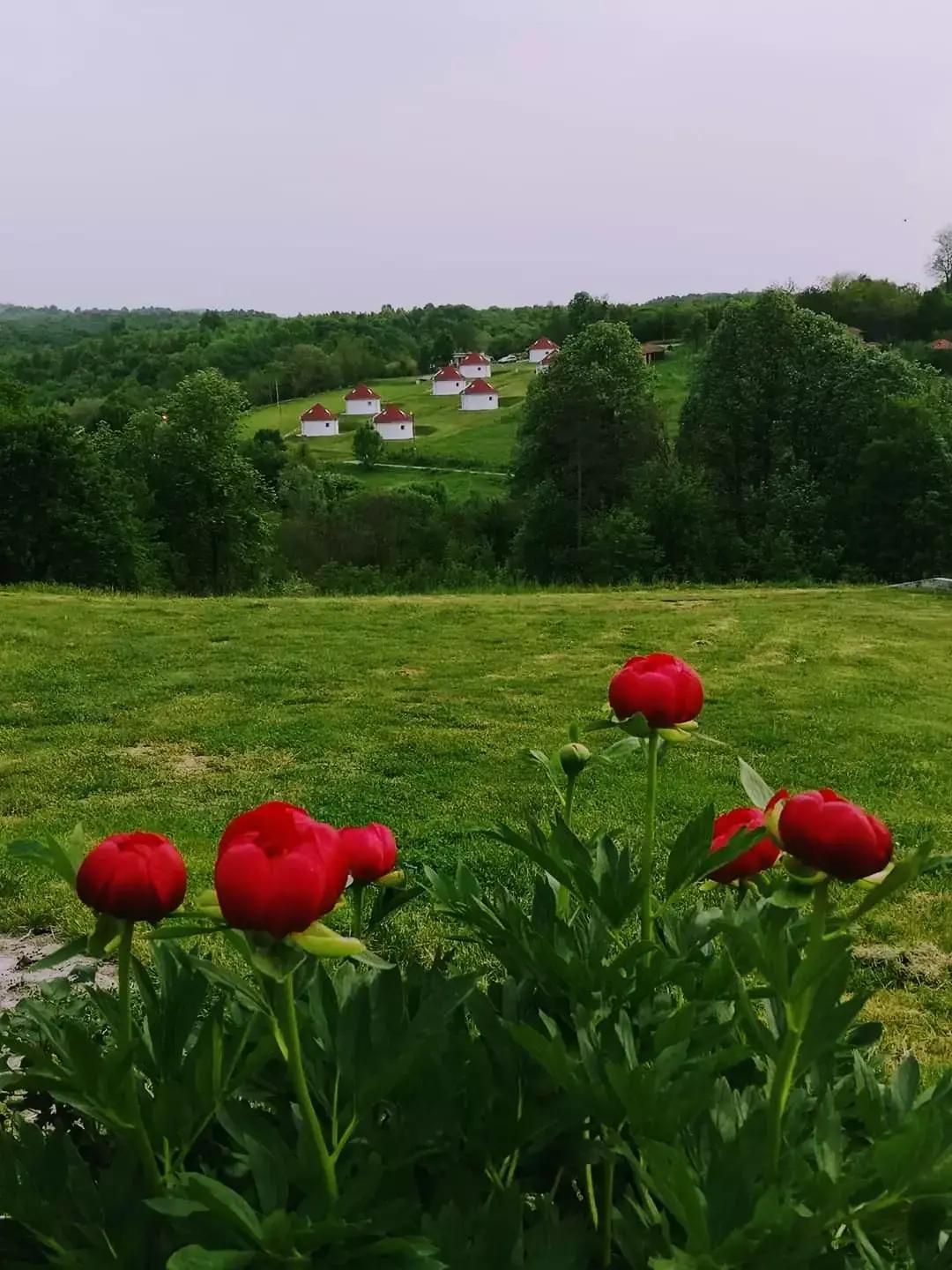 Къщи под наем село Малка Черковна