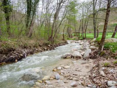 Elena - House By The River