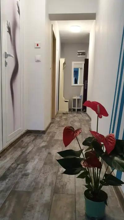 Apartament Sanny