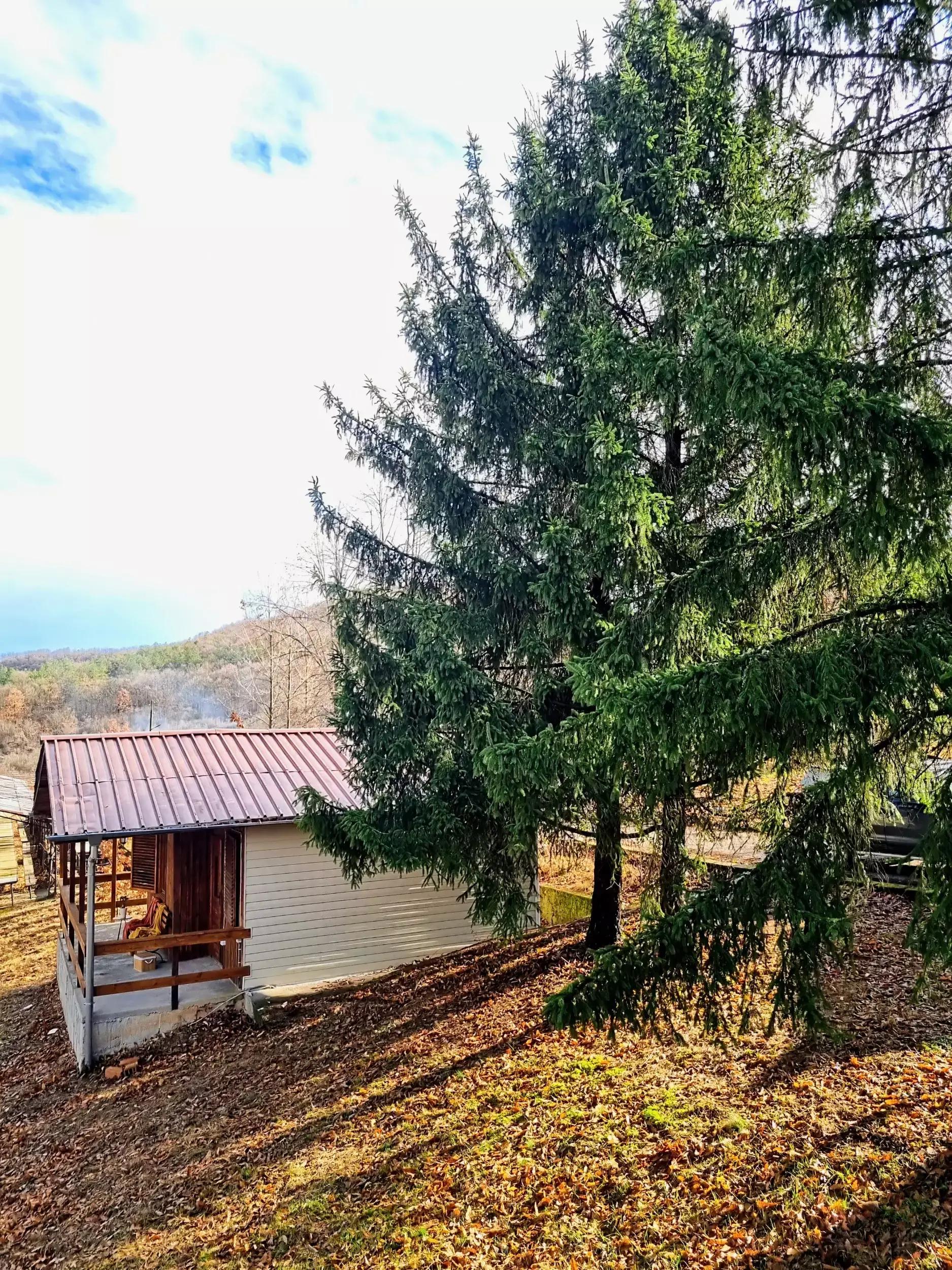 Forest bungalow by the river