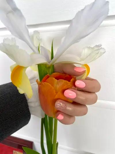 Брюле Nails Studio