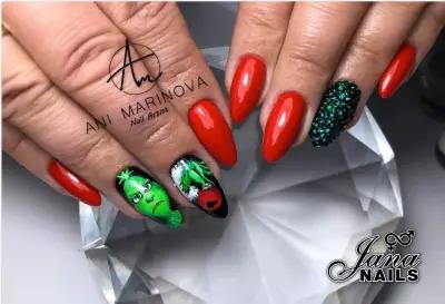 Aness nails