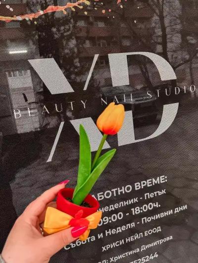 XD Beauty Nail Studio