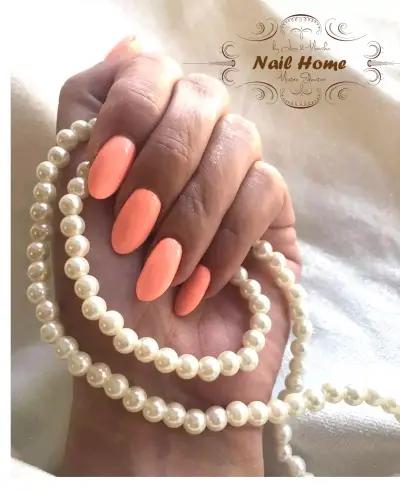 NailHome.net