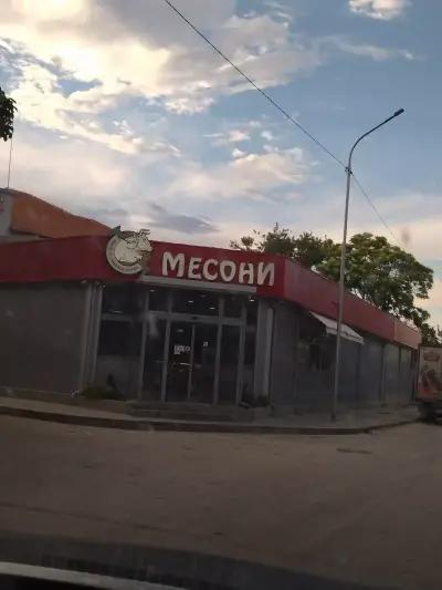 Месони