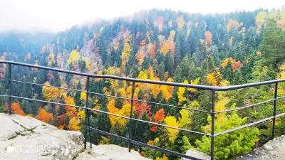 Hiking Trail to the Black Rock