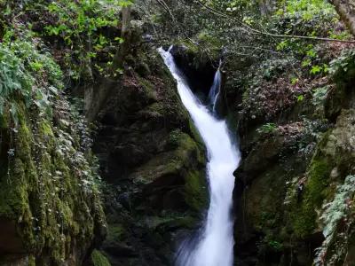 Лешнишки водопад