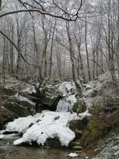 Местност „Водопада“, Вършец