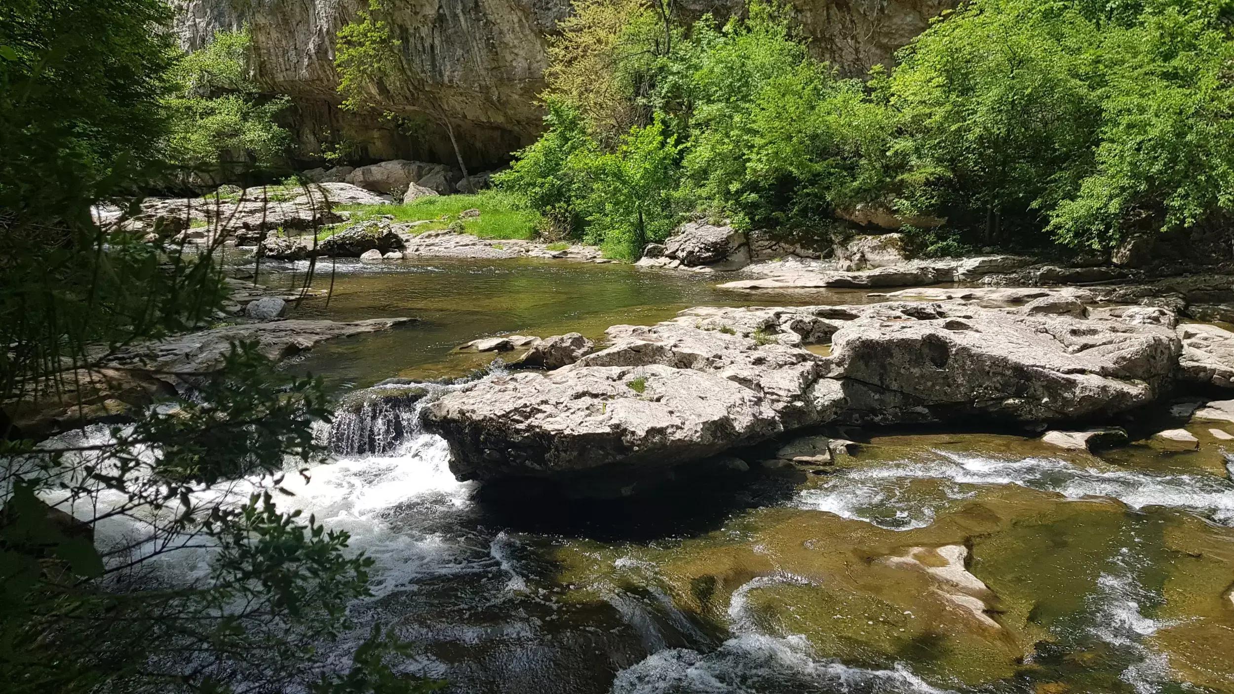 Пейката на Любовта