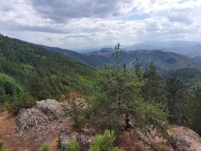 Пашови скали