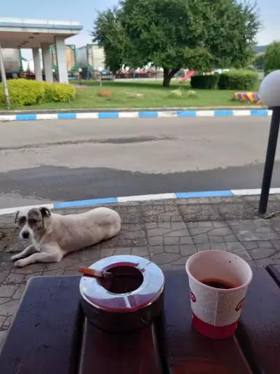 Бензиностанция "Път Консулт" / Gas Station