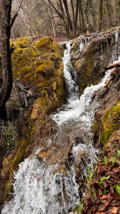 Бачковски водопад