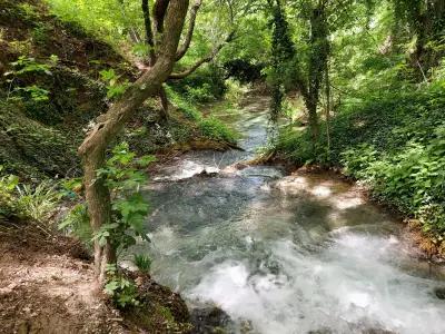 Бачковски водопад