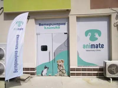 Ветеринарна клиника "Анимейт" / Animate Veterinary Clinic