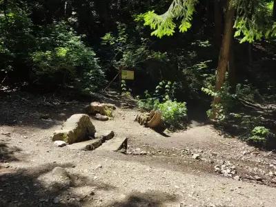 "Live Water" fountain