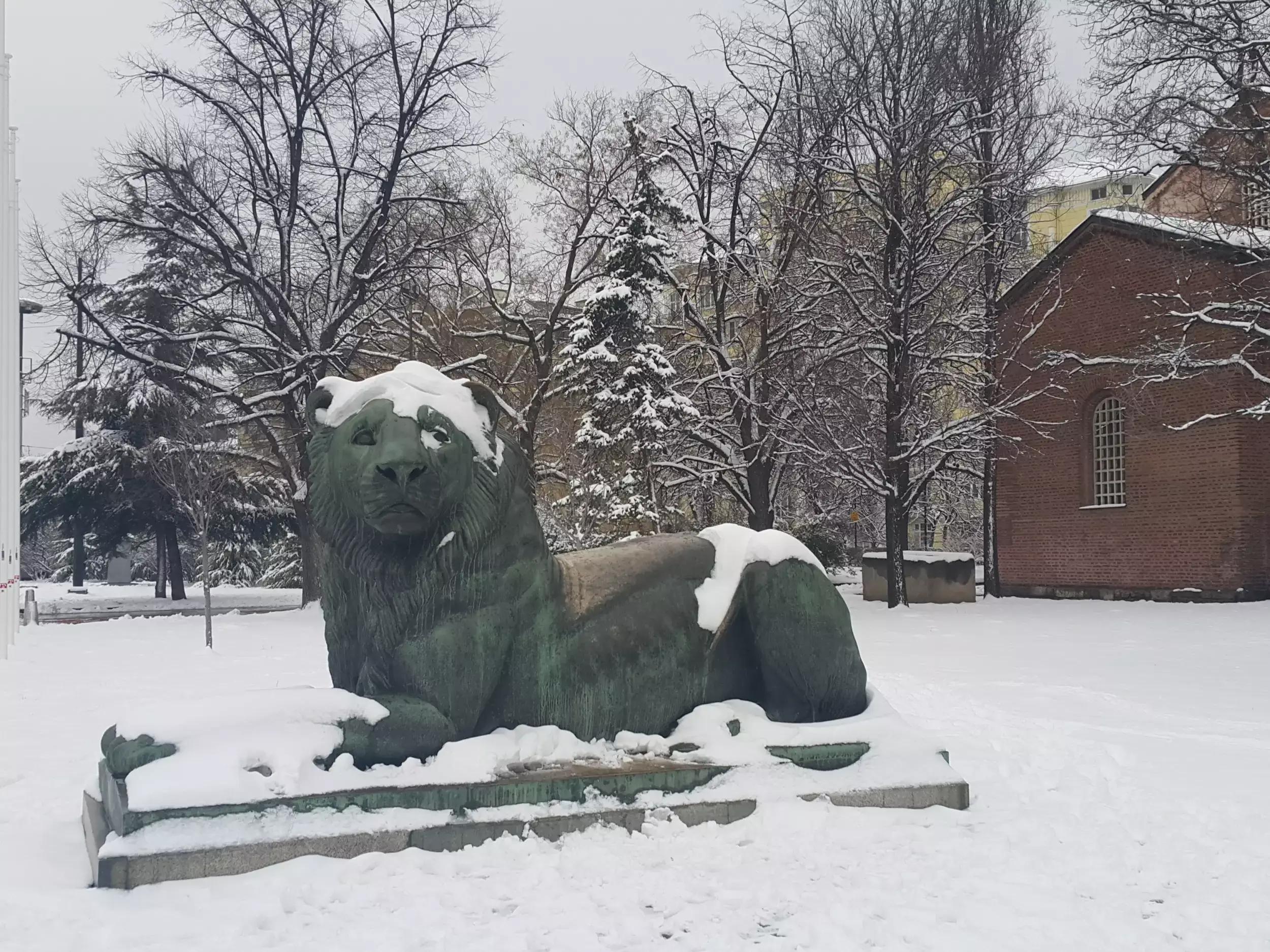 Паметник на Цар Самуил