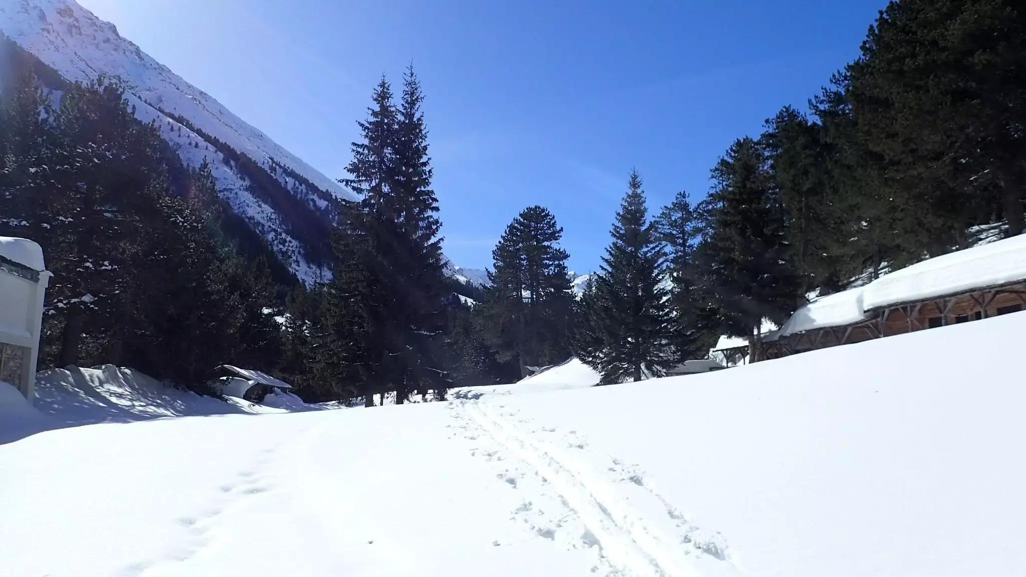 Хижа и ресторант Бъндерица