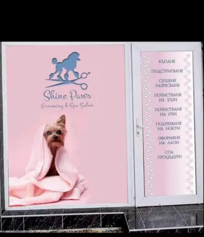 Grooming salon Shine paws