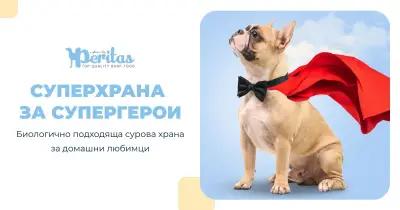 Зообутик LittaBella Pet Food Store