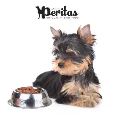 Зообутик LittaBella Pet Food Store