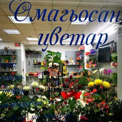 Омагьосан цветар