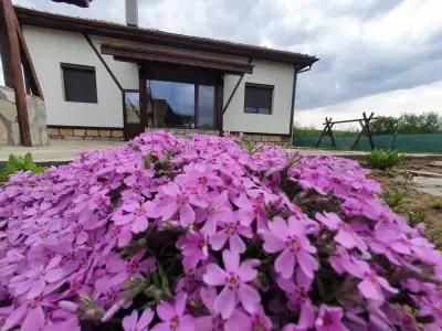 Болярската къща/The bolyarska house