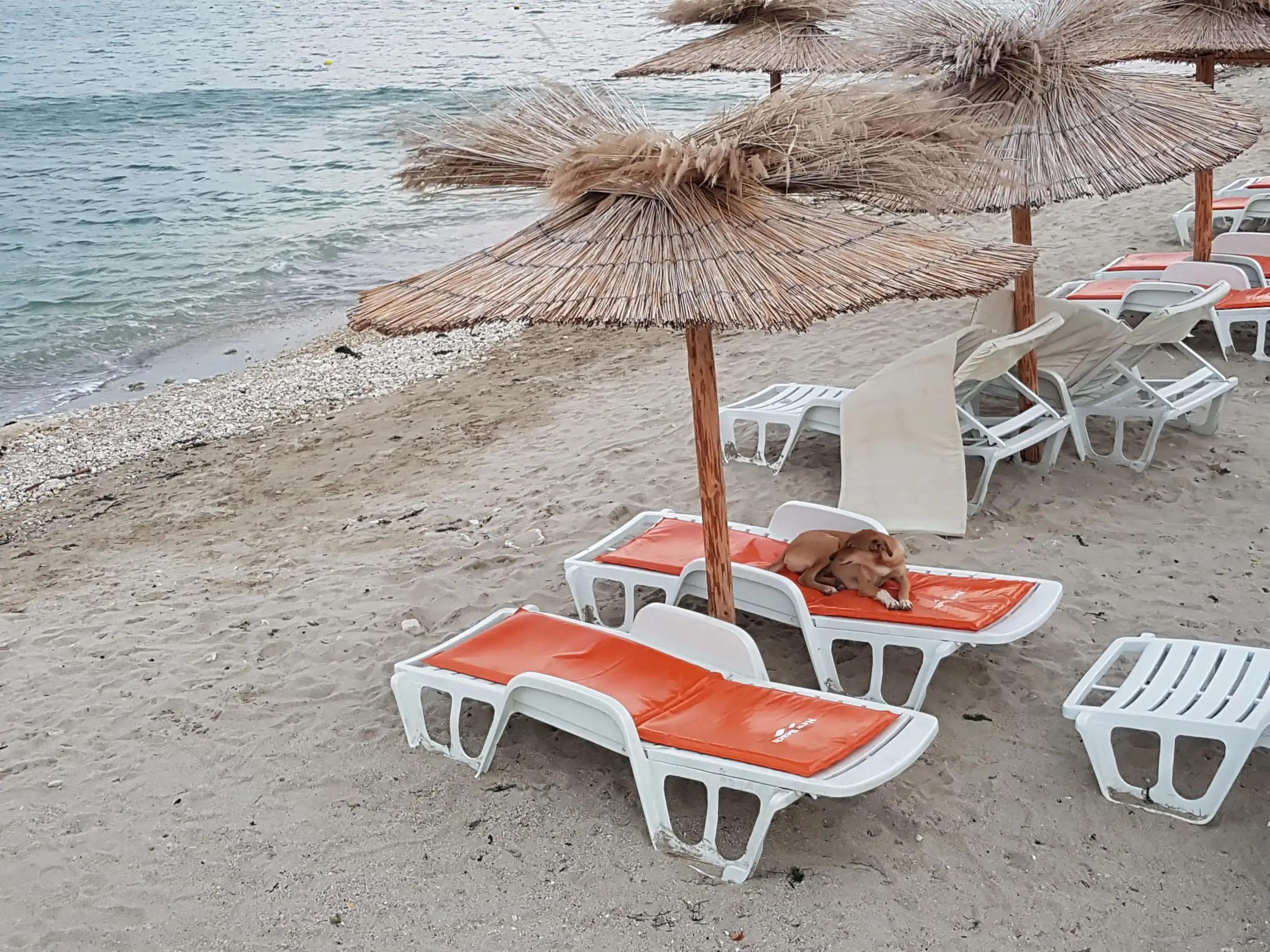 Nomad Beach Club Balchik