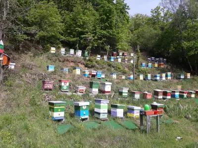 Пчелин ,,Беласица,,(Belasica bee farm)