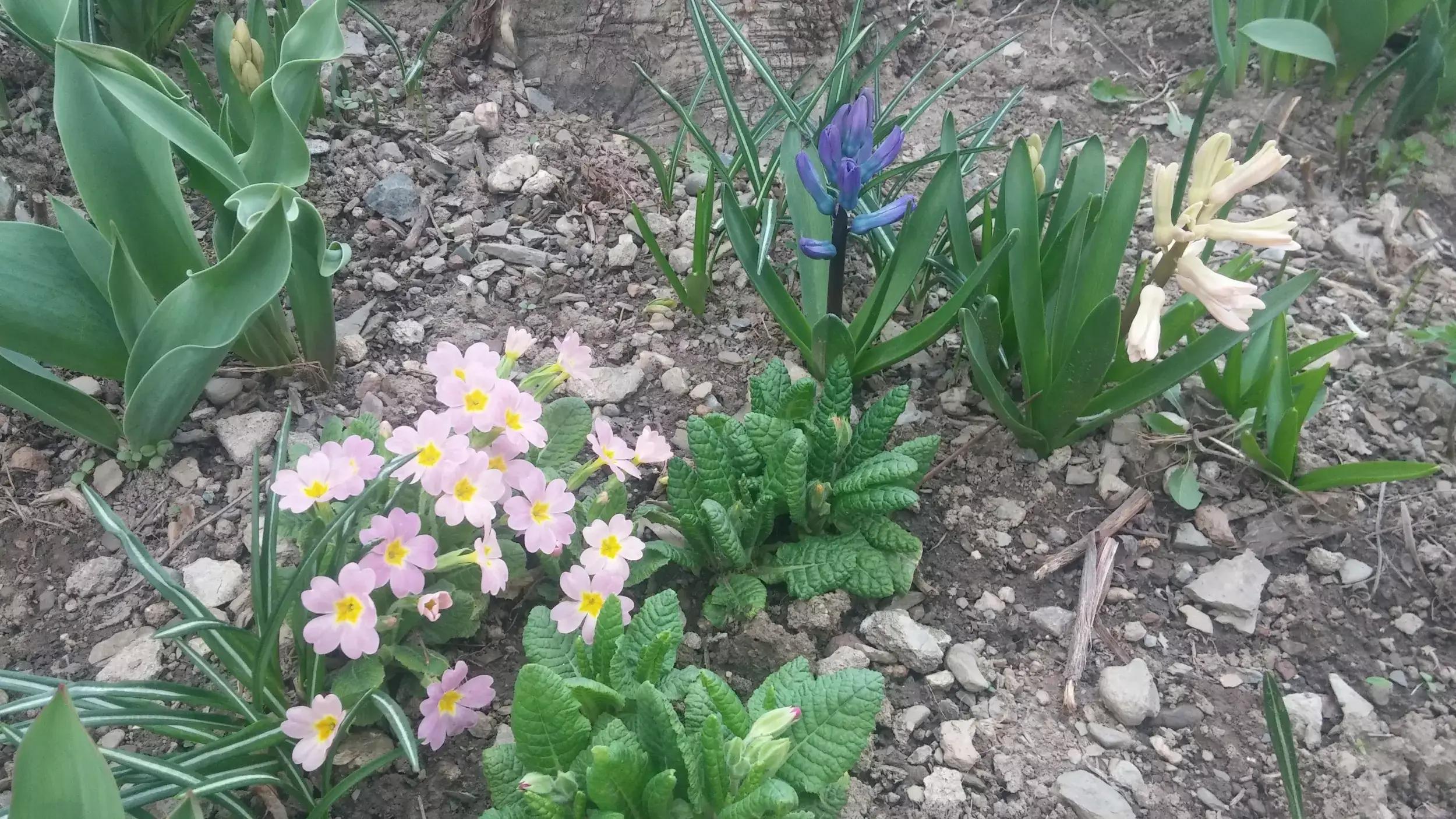 Natuurwandelen in de Balkan. Net een stapje verder..