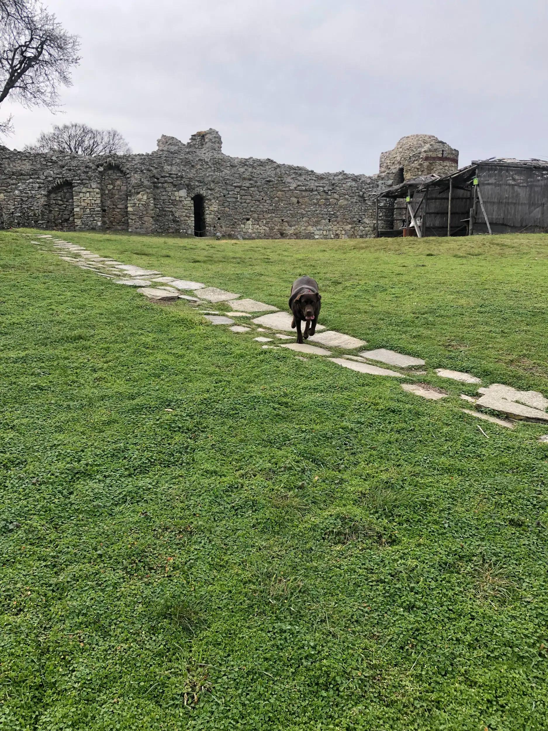 Mezek fortress (Neoutzikon)