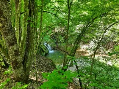 Водопад Скокът на р. Лопушница (с. Калейца)