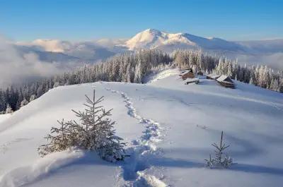 хижа Хайдушки поляни