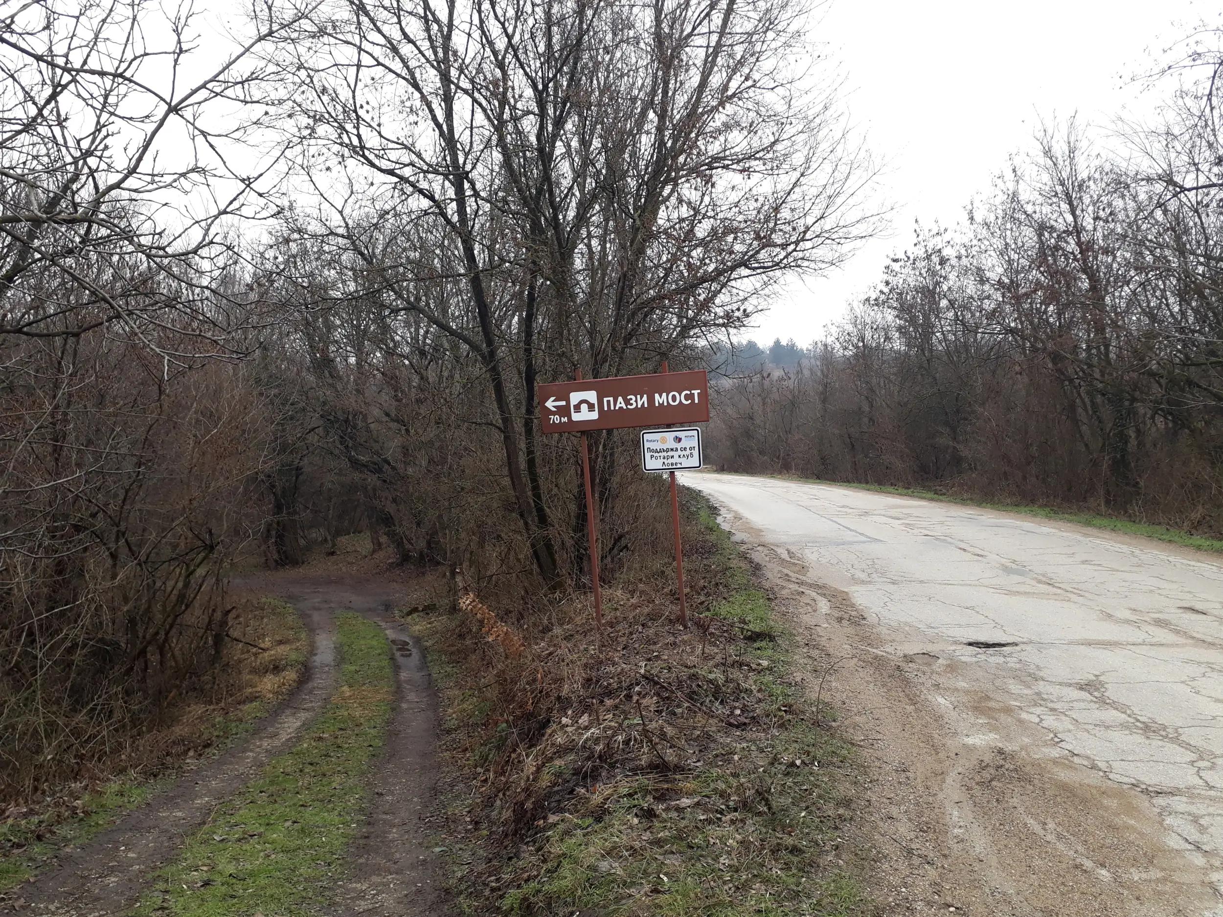 Пази мост Васил Левски