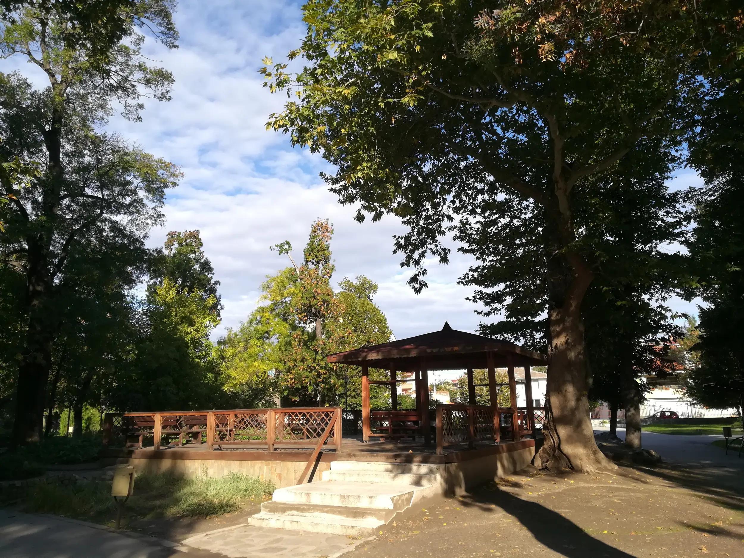 City Park