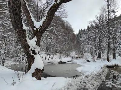 Златните мостове