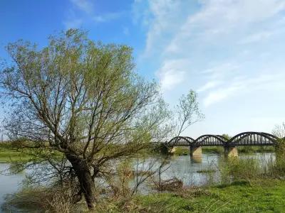 Петрол Гложане