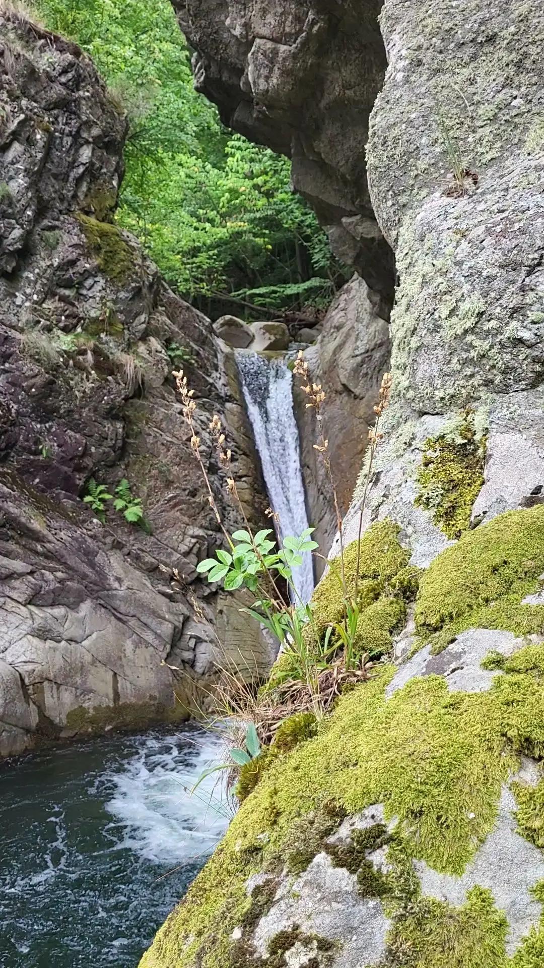 Водопад Скоковете