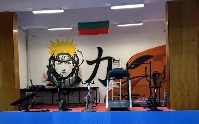 Drumev Power Gym