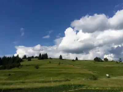 Stoykite-Pamporovo Nature Retreat