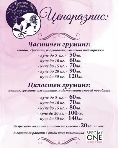 V&V Grooming Studio Veselina Stoycheva | Груминг за Пудел, Йорки, Померан Пловдив, Каменица