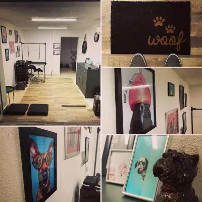 Grooming studio Le chouchou