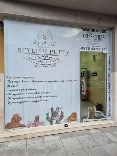 Груминг студио Stylish Puppy by M&P