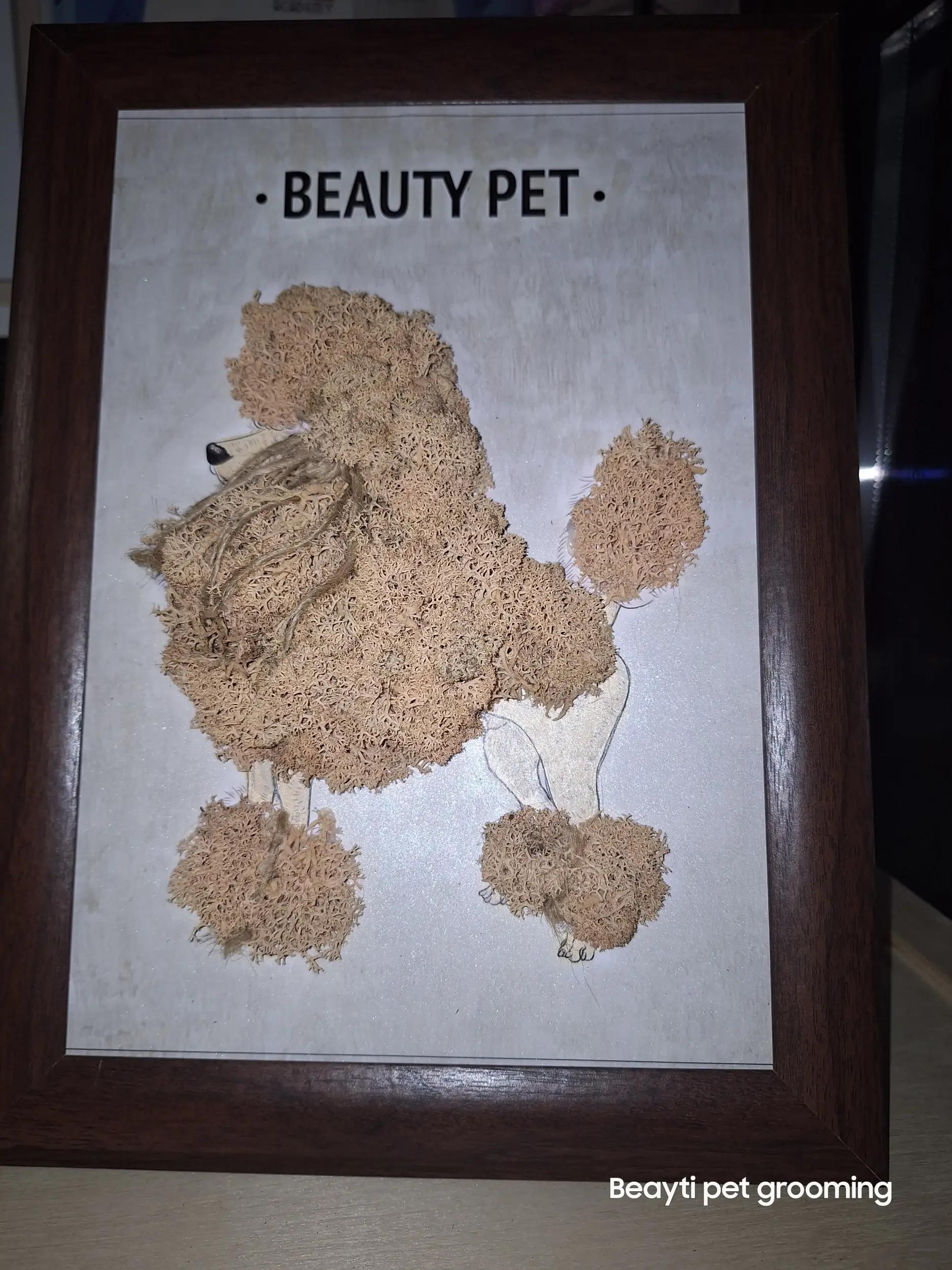 Груминг салон Beauty Pet