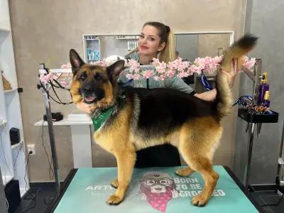 The Smini Groomer Pet Studio Фризьорско Студио за Кучета