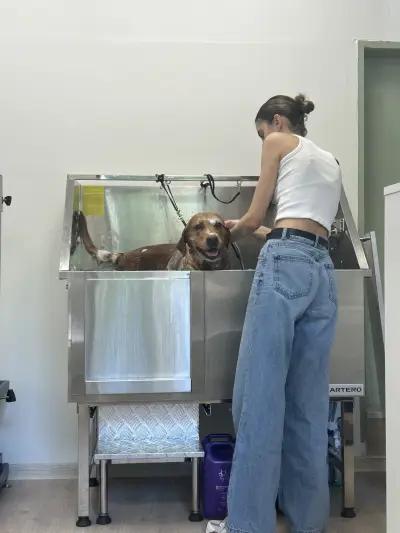 Bark N’ Bath Grooming Lounge