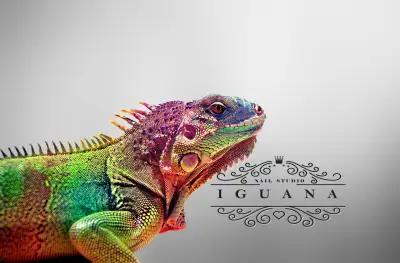 Iguana Nail Studio