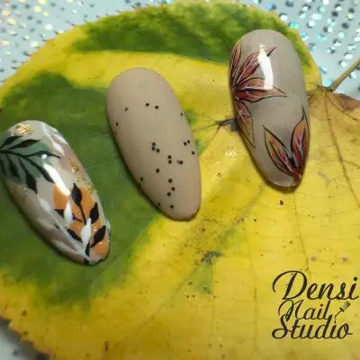 Densi Nail Studio