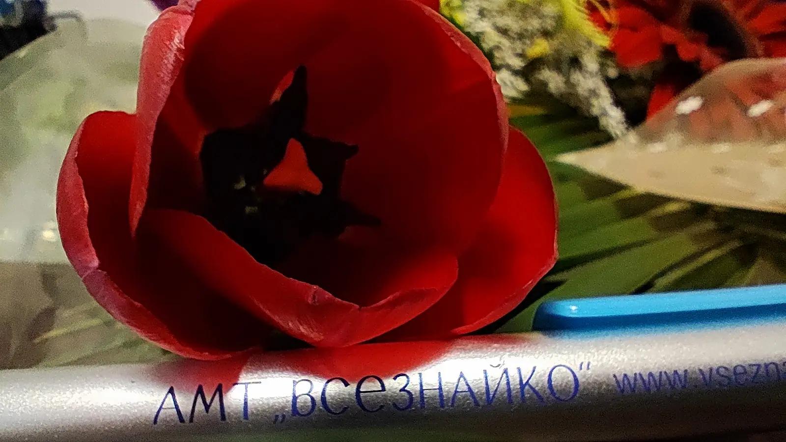 Детски учебен център и занималня "Всезнайко" - гр. Пловдив